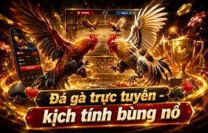 Sảnh đá gà kerizmabranding